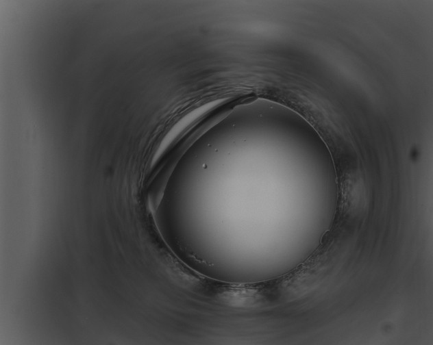 X0000097950278200804011642