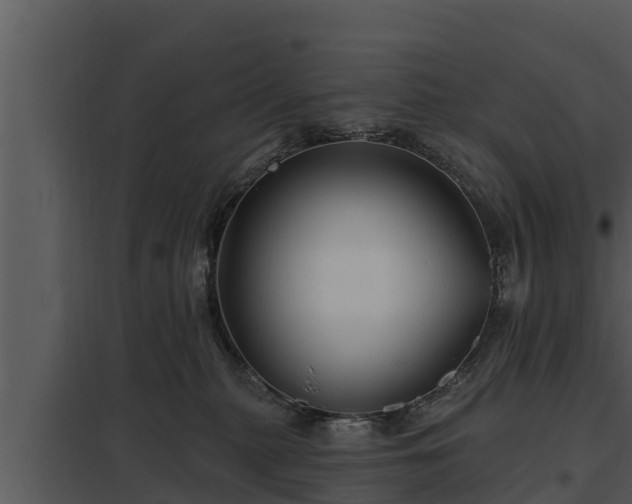 X0000097950279200804011642
