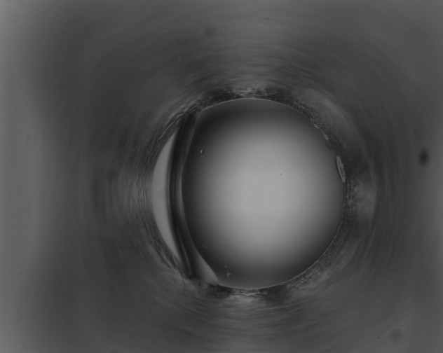X0000097950280200804011642