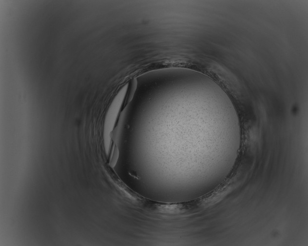 X0000097950281200804011642