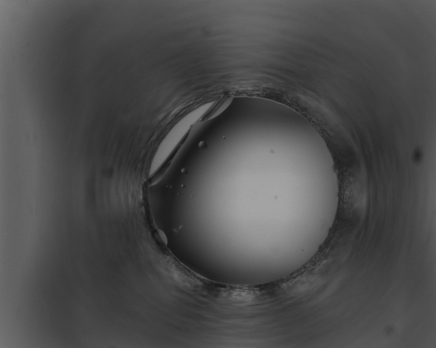 X0000097950282200804011642