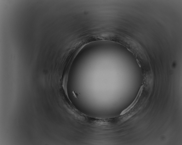 X0000097950284200804011642