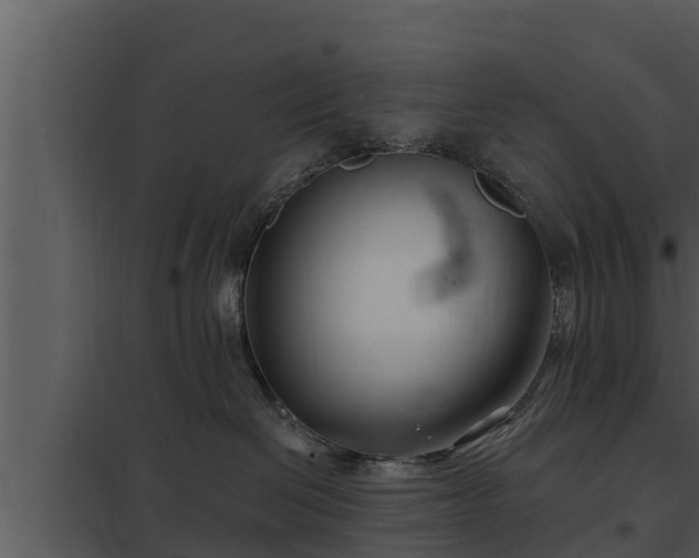 X0000097950286200804011642