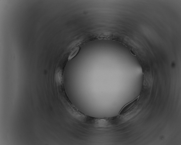 X0000097950287200804011642