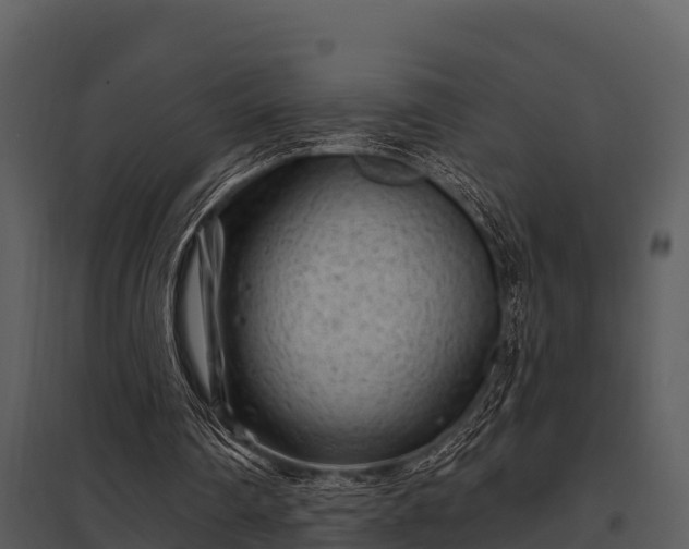 X0000097950290200804011641