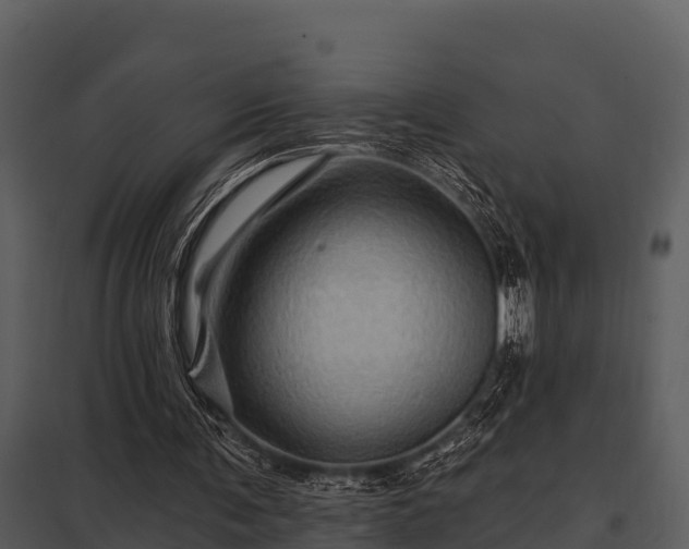 X0000097950291200804011641