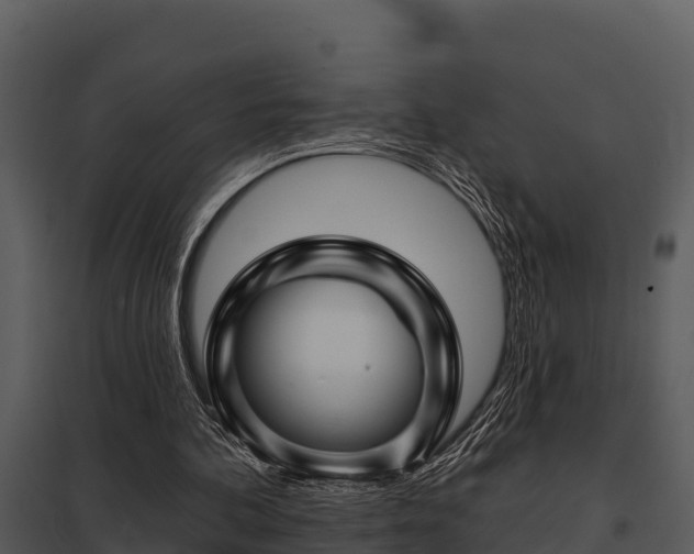 X0000097950292200804011641
