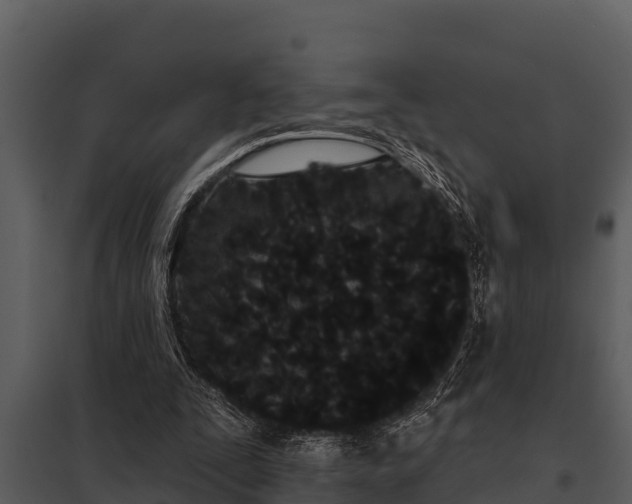 X0000097950295200804011641