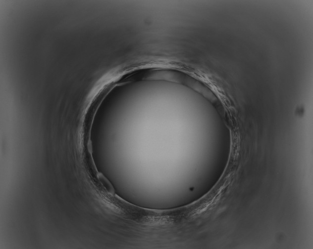 X0000097950296200804011641