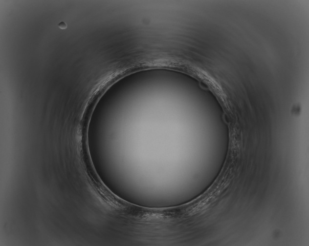 X0000097950298200804011641