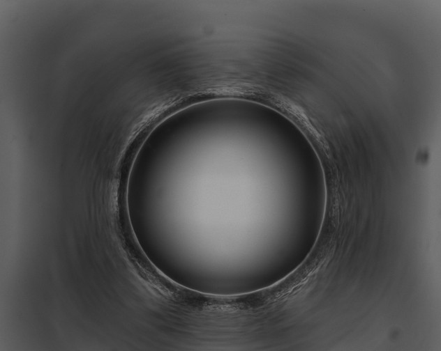 X0000097950299200804011641