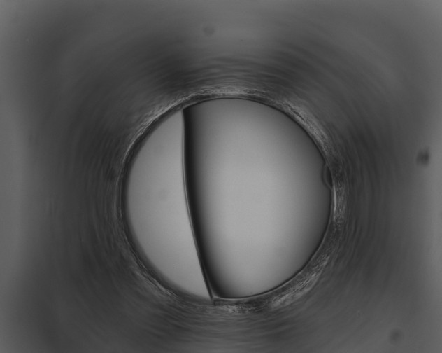 X0000097950301200804011641