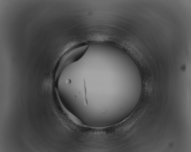 X0000097950304200804011641
