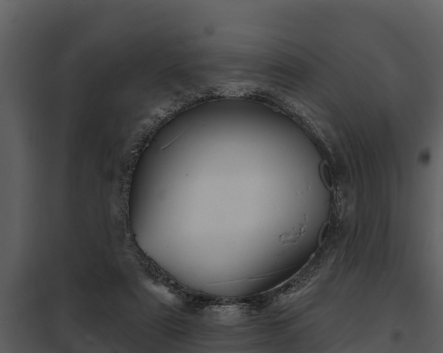 X0000097950307200804011641
