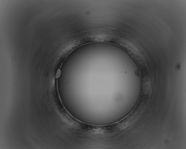 X0000097950310200804011641