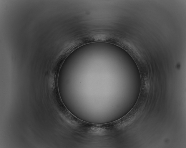 X0000097950311200804011641