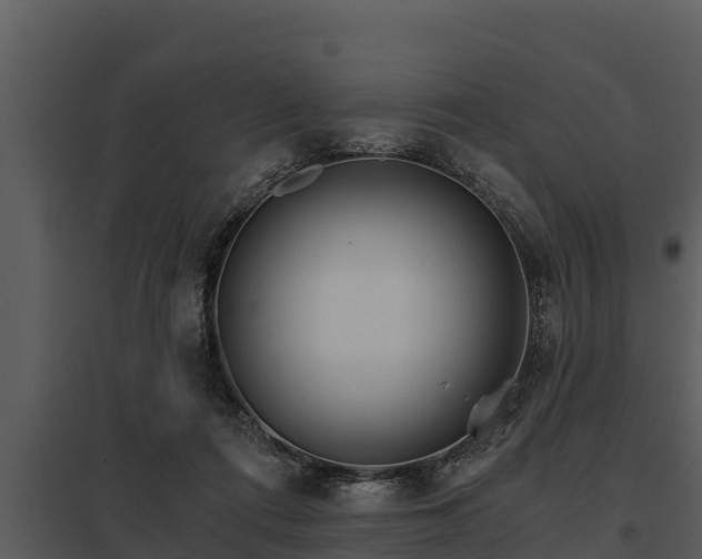 X0000097950312200804011641
