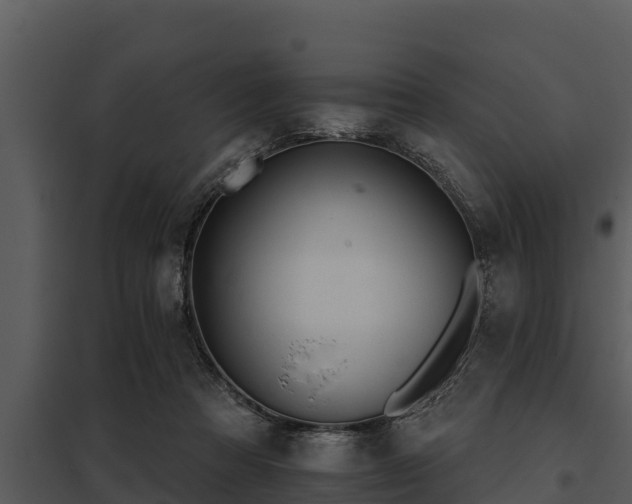 X0000097950313200804011641