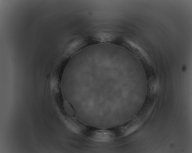 X0000097950316200804011641