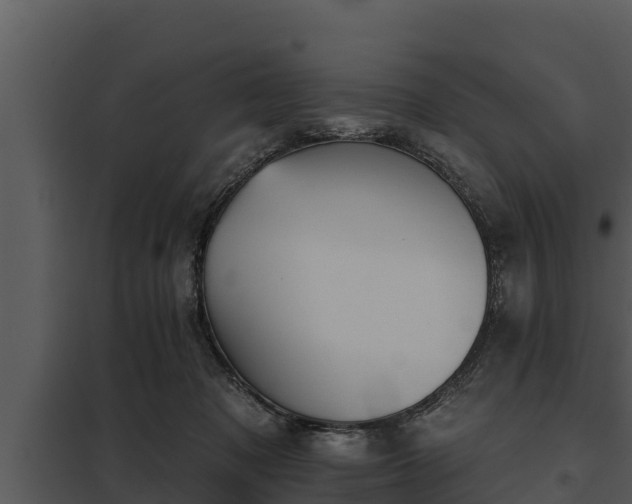 X0000097950317200804011641