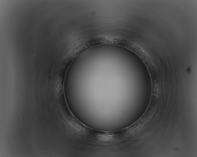 X0000097950318200804011641