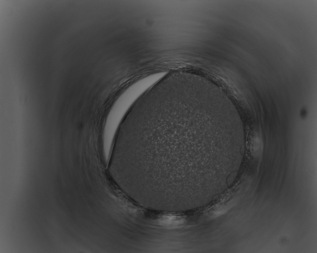 X0000097950319200804011641