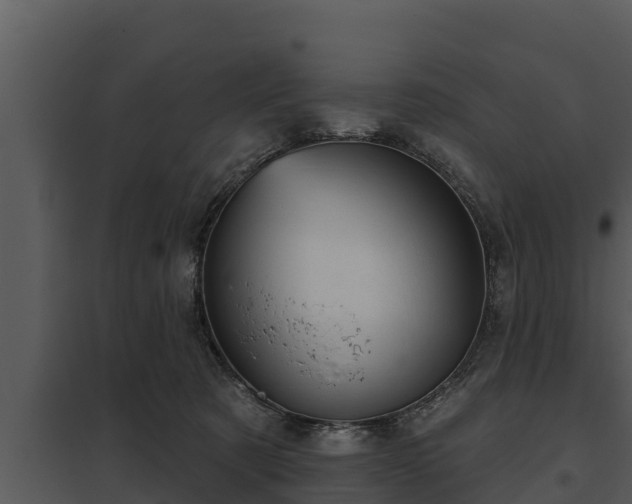 X0000097950321200804011641