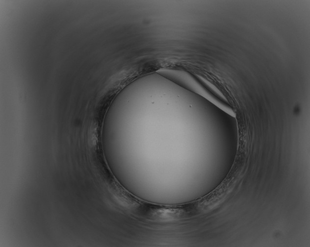 X0000097950323200804011641