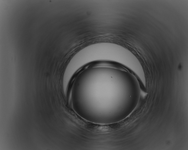 X0000097950324200804011641
