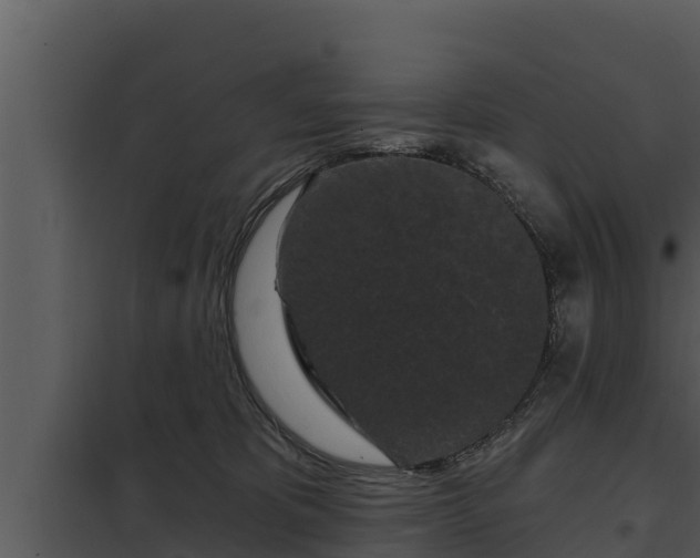 X0000097950325200804011641