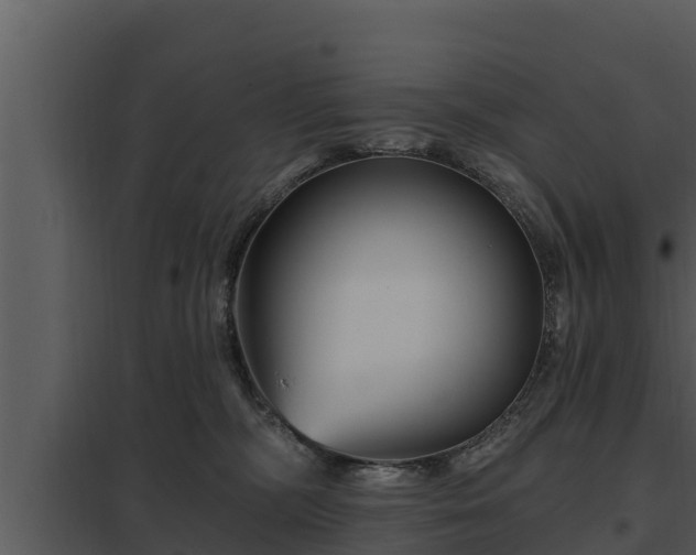 X0000097950326200804011641