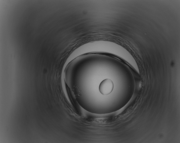 X0000097950328200804011641