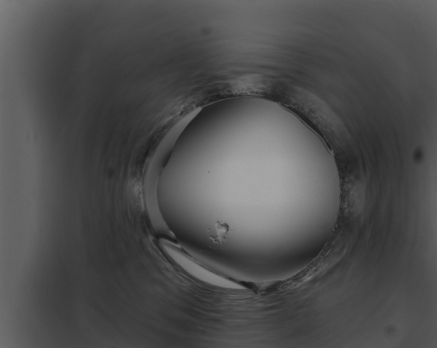 X0000097950329200804011641