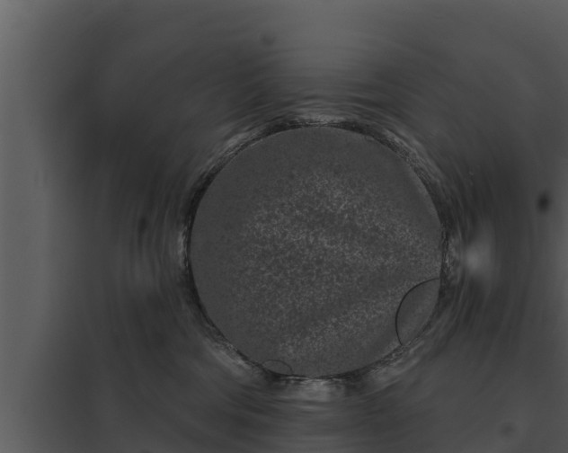 X0000097950330200804011640