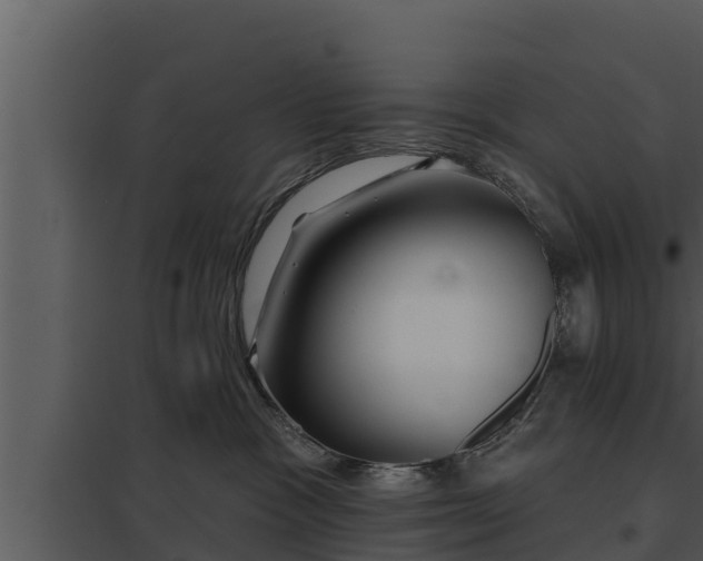 X0000097950333200804011640