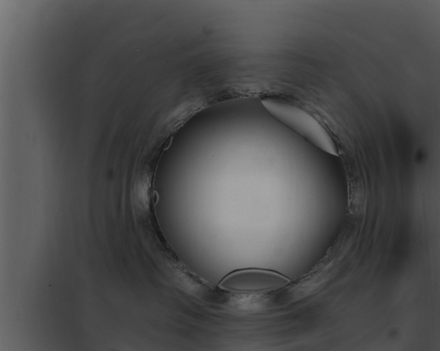 X0000097950334200804011640