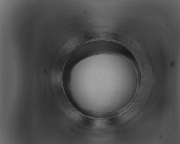 X0000097950336200804011640