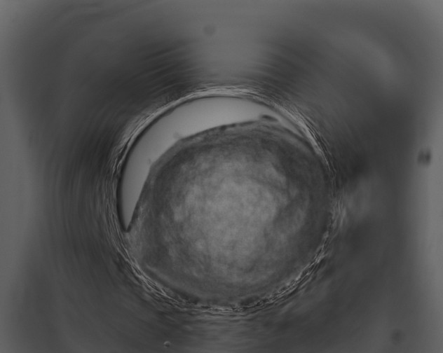 X0000097950337200804011640