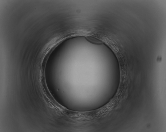 X0000097950338200804011640