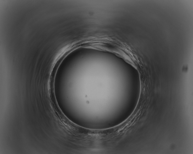 X0000097950340200804011640