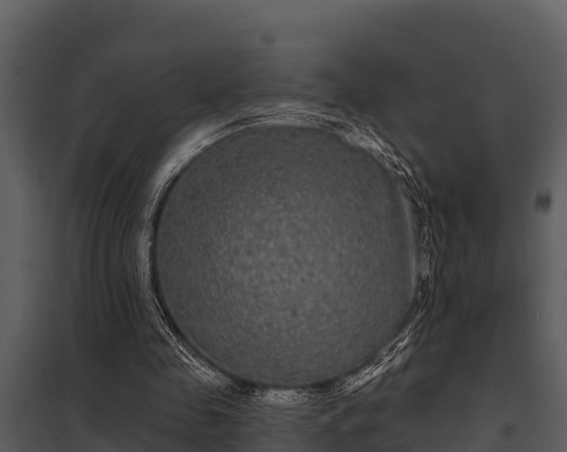 X0000097950341200804011640