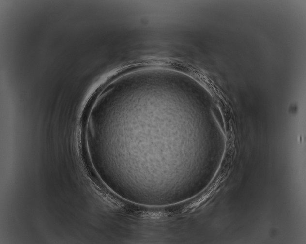 X0000097950342200804011640