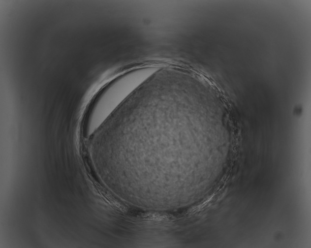 X0000097950343200804011640