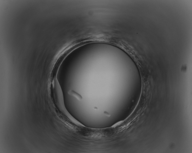 X0000097950344200804011640