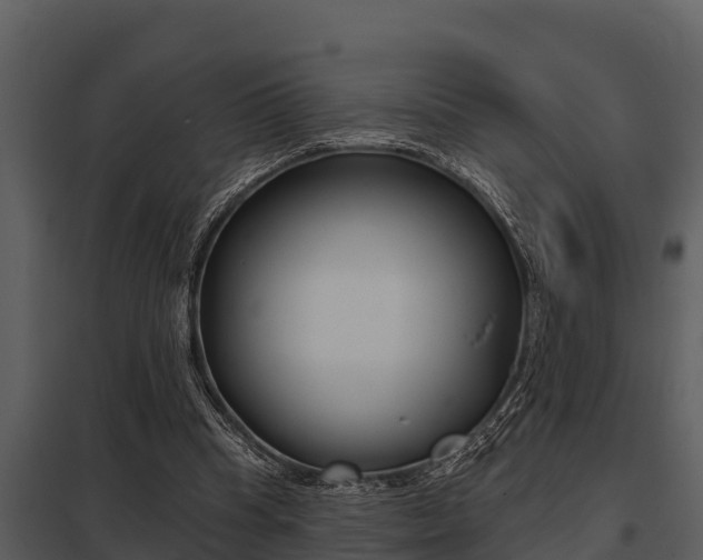 X0000097950345200804011640