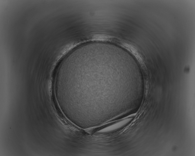 X0000097950346200804011640
