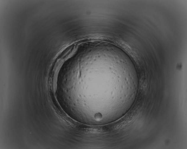 X0000097950347200804011640