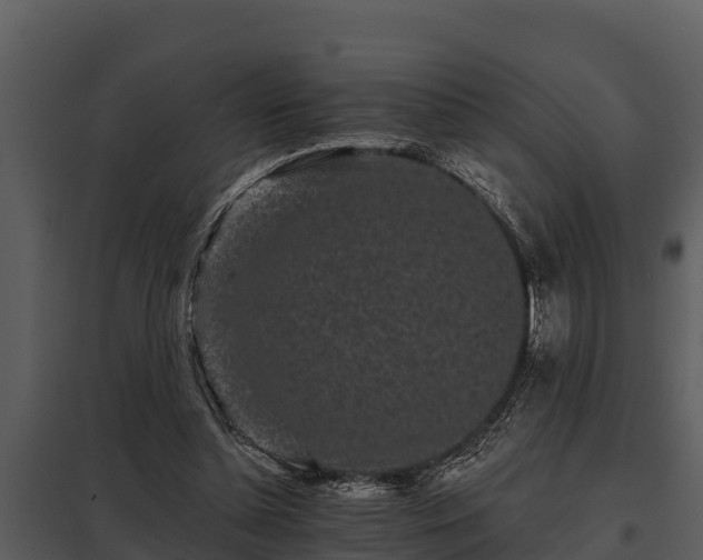 X0000097950348200804011640