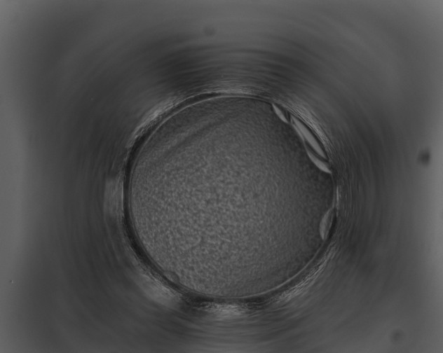 X0000097950349200804011640