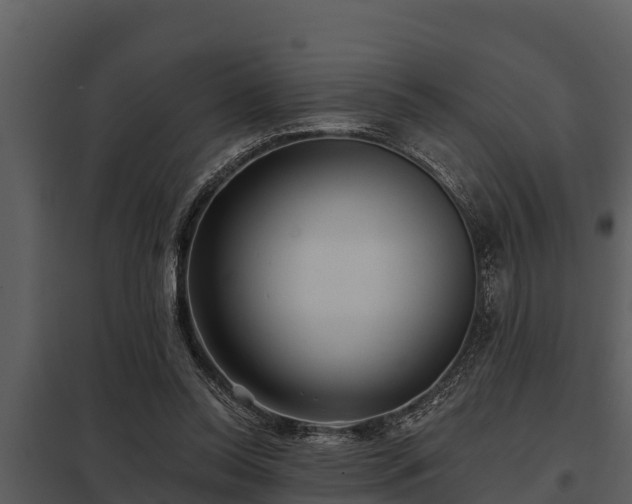 X0000097950350200804011640